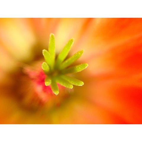 Central Fingers II Black Modern Wood Framed Art Print with Double Matting by Grayscale