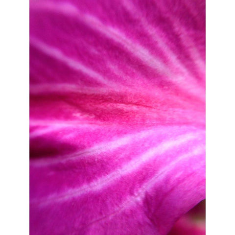 Leaf Stripes I Gold Ornate Wood Framed Art Print with Double Matting by Grayscale