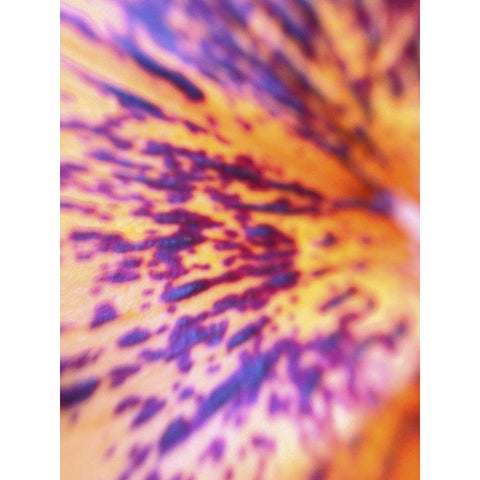 Lava Leaf I Black Modern Wood Framed Art Print with Double Matting by Grayscale