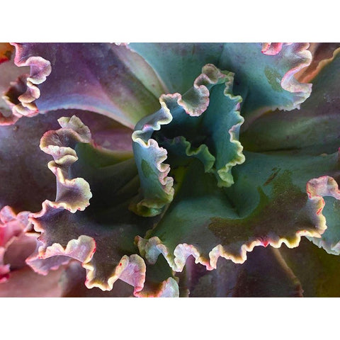 Ribbons I White Modern Wood Framed Art Print by Grayscale