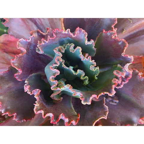 Ribbons II Black Modern Wood Framed Art Print with Double Matting by Grayscale