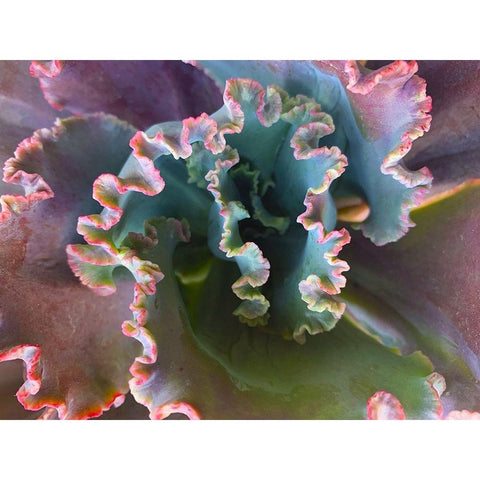 Ribbons III Black Modern Wood Framed Art Print by Grayscale