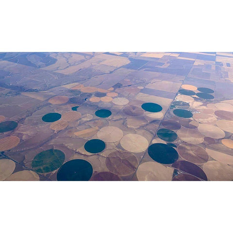 Crop Circles I White Modern Wood Framed Art Print by Grayscale