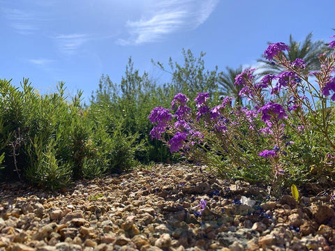 Rock Path I White Modern Wood Framed Art Print with Double Matting by Grayscale