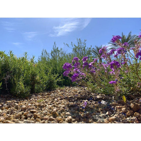 Rock Path I Black Modern Wood Framed Art Print by Grayscale