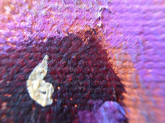 Image Only