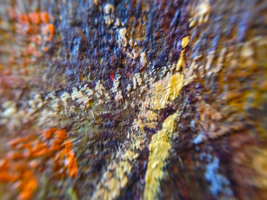 Image Only