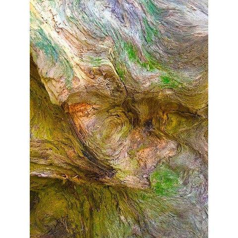 Bark Lava II Gold Ornate Wood Framed Art Print with Double Matting by Grayscale