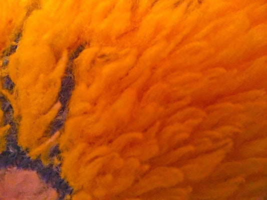 Image Only