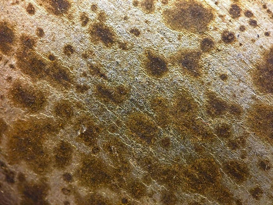 Image Only