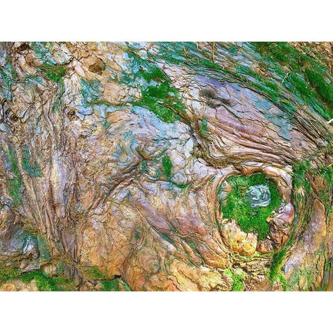 Wood Texture V White Modern Wood Framed Art Print by Grayscale