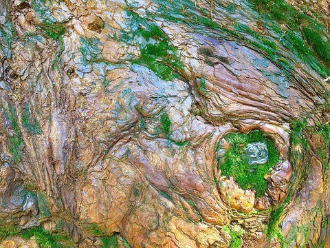 Wood Texture V Black Ornate Wood Framed Art Print with Double Matting by Grayscale