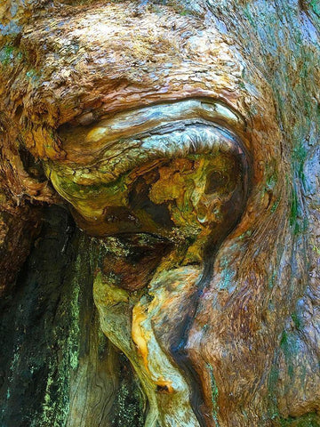 Wood Texture VI White Modern Wood Framed Art Print with Double Matting by Grayscale