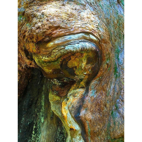 Wood Texture VI Black Modern Wood Framed Art Print with Double Matting by Grayscale