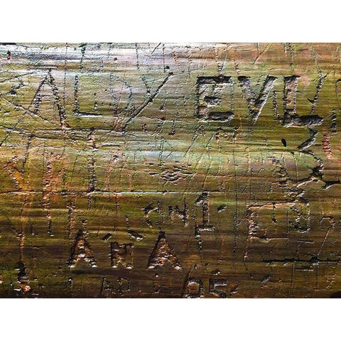 Wood Texture VII White Modern Wood Framed Art Print by Grayscale