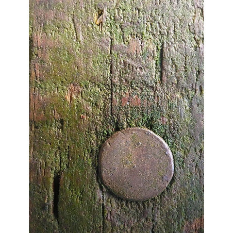 Wood Texture VIII White Modern Wood Framed Art Print by Grayscale