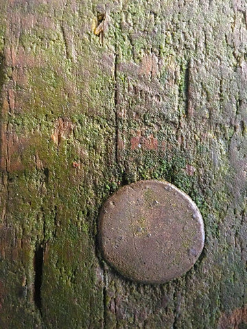 Wood Texture VIII Black Ornate Wood Framed Art Print with Double Matting by Grayscale