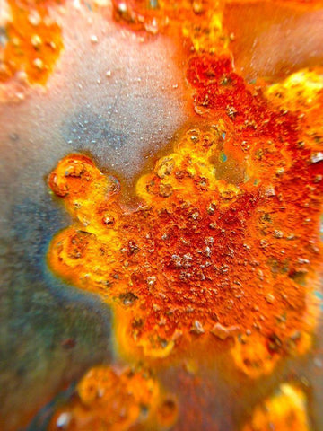 Oxidized Metal VIII Black Ornate Wood Framed Art Print with Double Matting by Grayscale