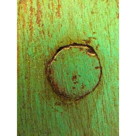 Painted Wood Panel IV Gold Ornate Wood Framed Art Print with Double Matting by Grayscale