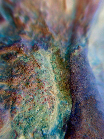 Oxidized Metal XII White Modern Wood Framed Art Print with Double Matting by Grayscale