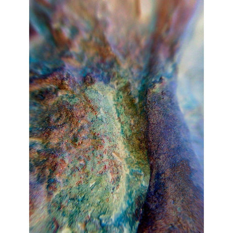 Oxidized Metal XII White Modern Wood Framed Art Print by Grayscale