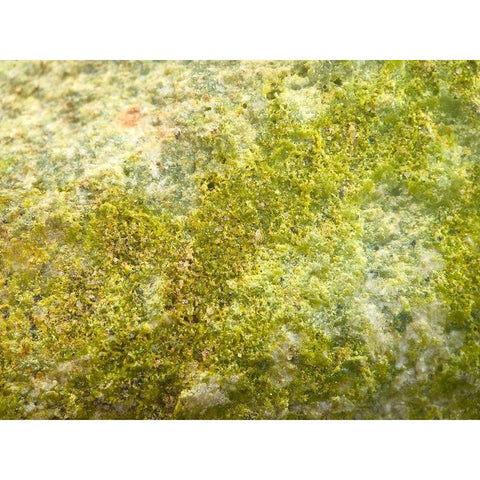 Jade Sand I Black Modern Wood Framed Art Print by Grayscale