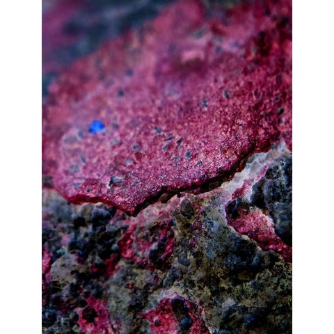 Red Aggregate I Black Modern Wood Framed Art Print with Double Matting by Grayscale