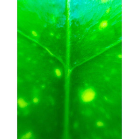 Green Leaf IX Gold Ornate Wood Framed Art Print with Double Matting by Grayscale