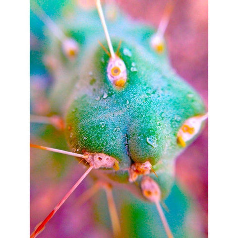 Cactus Spikes II Black Modern Wood Framed Art Print by Grayscale