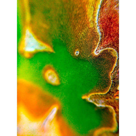 Cactus Edges I Gold Ornate Wood Framed Art Print with Double Matting by Grayscale