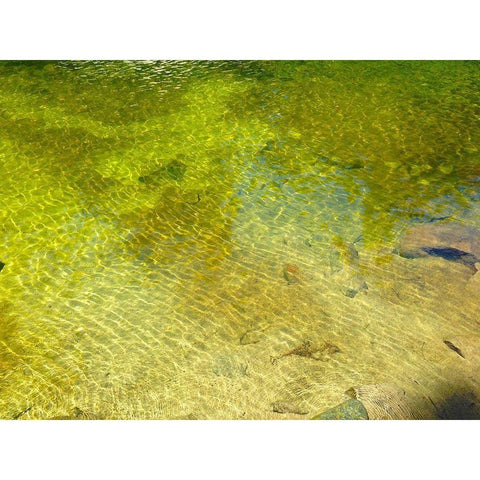 Water Scene I Black Modern Wood Framed Art Print with Double Matting by Grayscale