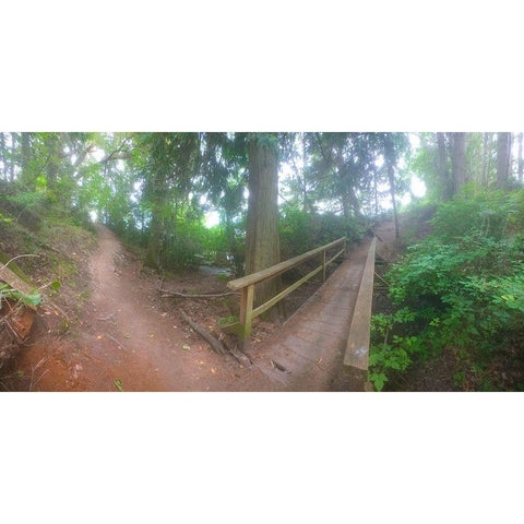 Forest Bridge I White Modern Wood Framed Art Print by Grayscale