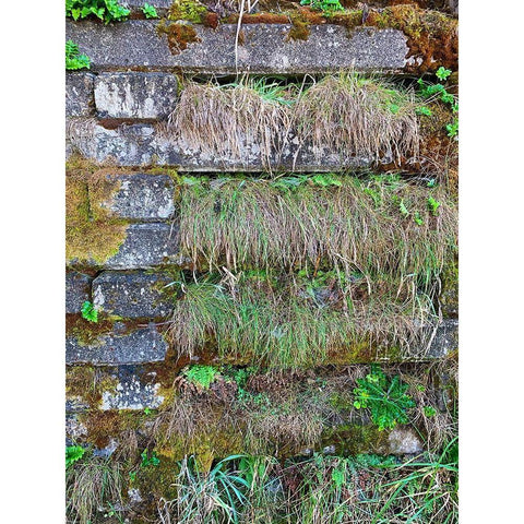 Wall Garden I Black Modern Wood Framed Art Print by Grayscale