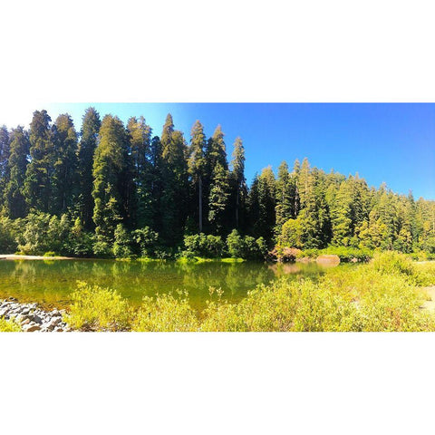 River View II Black Modern Wood Framed Art Print by Grayscale