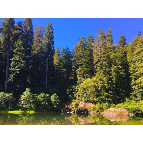 River View III Black Modern Wood Framed Art Print by Grayscale