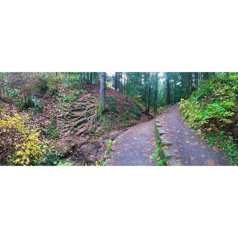 Root System II Black Modern Wood Framed Art Print by Grayscale