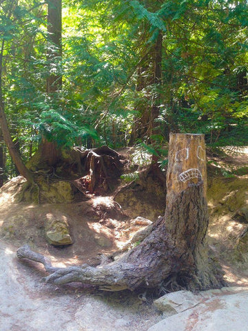 Tree Face I White Modern Wood Framed Art Print with Double Matting by Grayscale