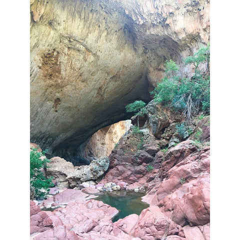 Natural Bridge V Gold Ornate Wood Framed Art Print with Double Matting by Grayscale