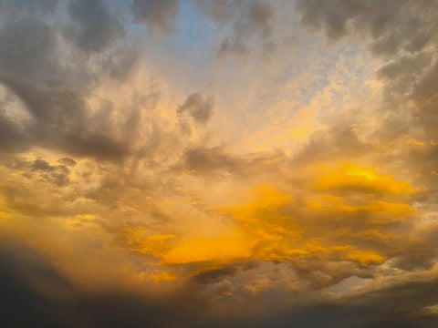 Arizona Sunset II Black Ornate Wood Framed Art Print with Double Matting by Grayscale