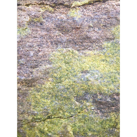 Rock Face I Gold Ornate Wood Framed Art Print with Double Matting by Grayscale