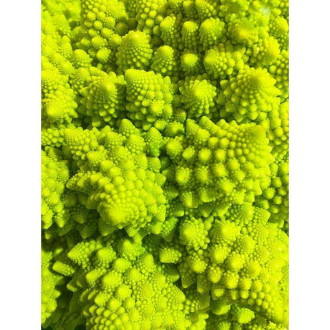 Natural Fractals III Gold Ornate Wood Framed Art Print with Double Matting by Grayscale