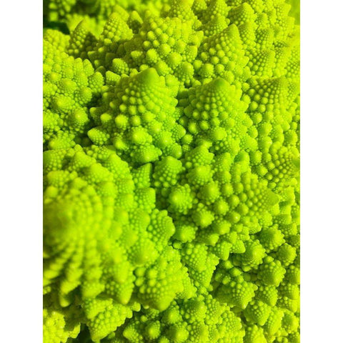 Natural Fractals IV White Modern Wood Framed Art Print by Grayscale