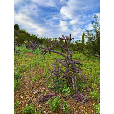 Desert Color I White Modern Wood Framed Art Print by Grayscale