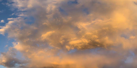 Cloudy Sky II Black Ornate Wood Framed Art Print with Double Matting by Grayscale