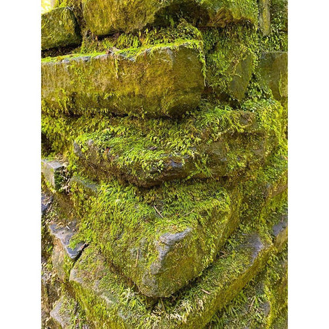 Stone Stack I Gold Ornate Wood Framed Art Print with Double Matting by Grayscale