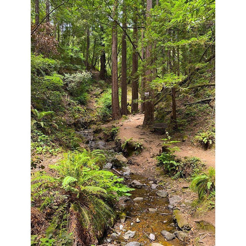 Creekside I White Modern Wood Framed Art Print by Grayscale