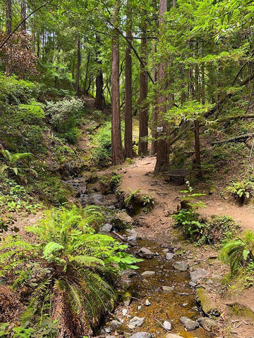 Creekside I Black Ornate Wood Framed Art Print with Double Matting by Grayscale