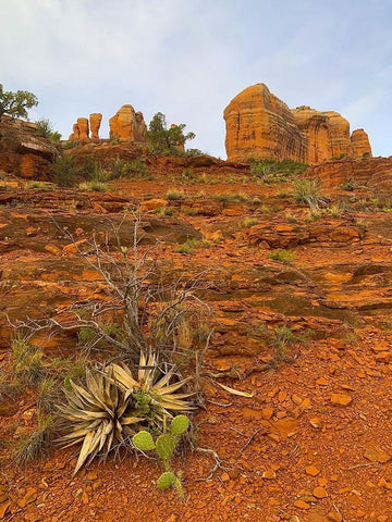 Sedona II Black Ornate Wood Framed Art Print with Double Matting by Grayscale