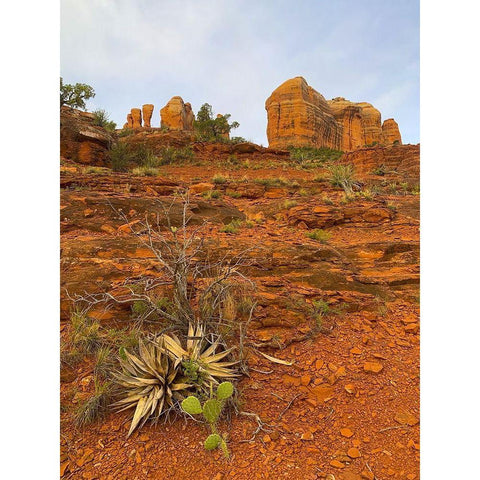 Sedona II White Modern Wood Framed Art Print by Grayscale