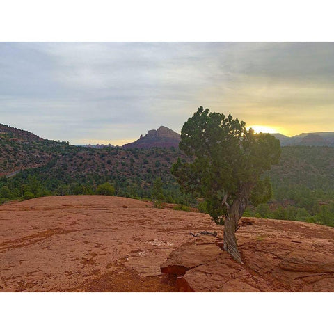 Sedona IV White Modern Wood Framed Art Print by Grayscale